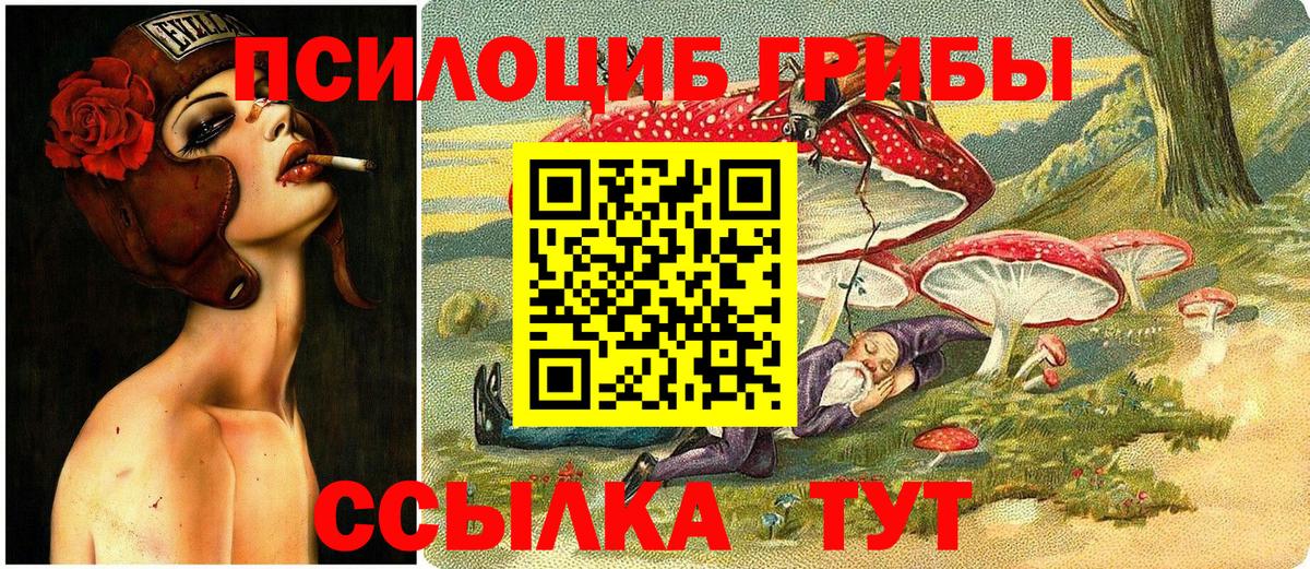Псилоцибиновые грибы мицелий Черногорск