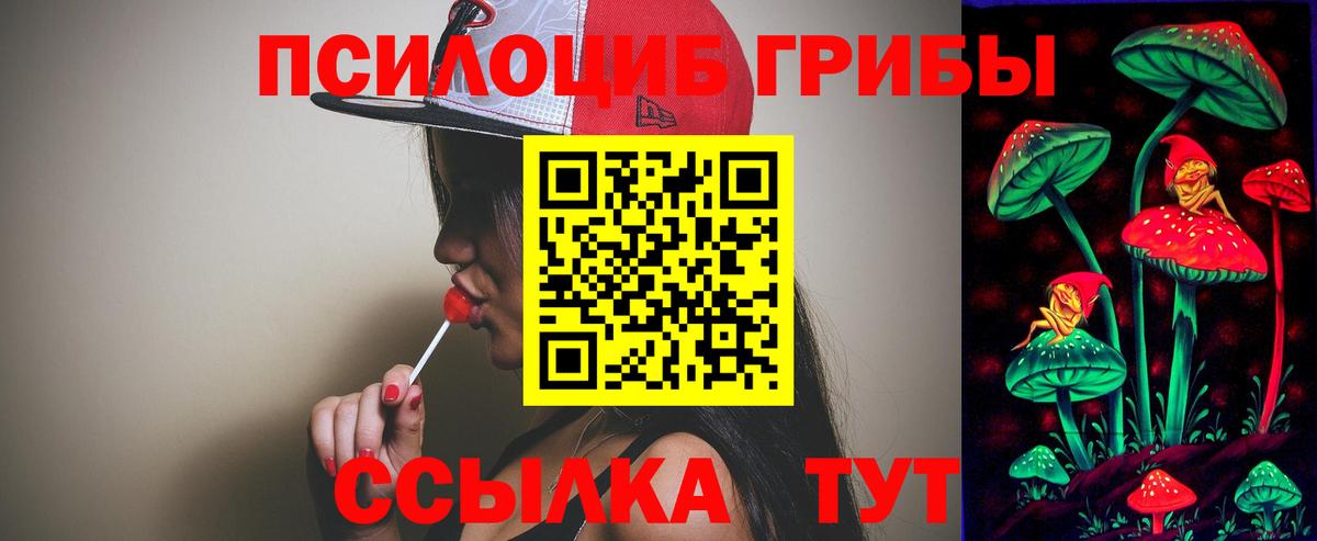 Псилоцибиновые грибы мицелий  Вход с VPN  Черногорск  Псилоцибиновые грибы мицелий 